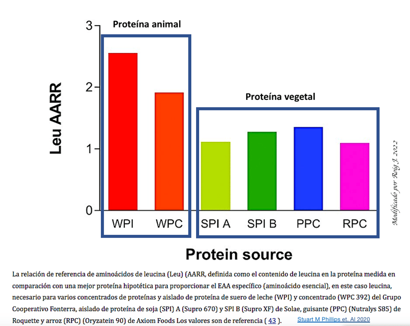 ​De pérdida y recuperación de proteínas.  Una mirada al aporte proteico y en especial al de la leucina