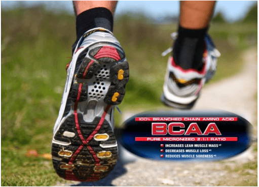 BCAA como potenciadores de la utilización de grasas en el ejercicio
