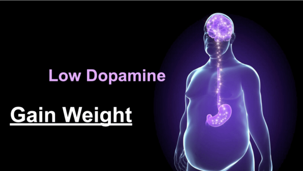 ​Dopamina y fructosa en la obesidad