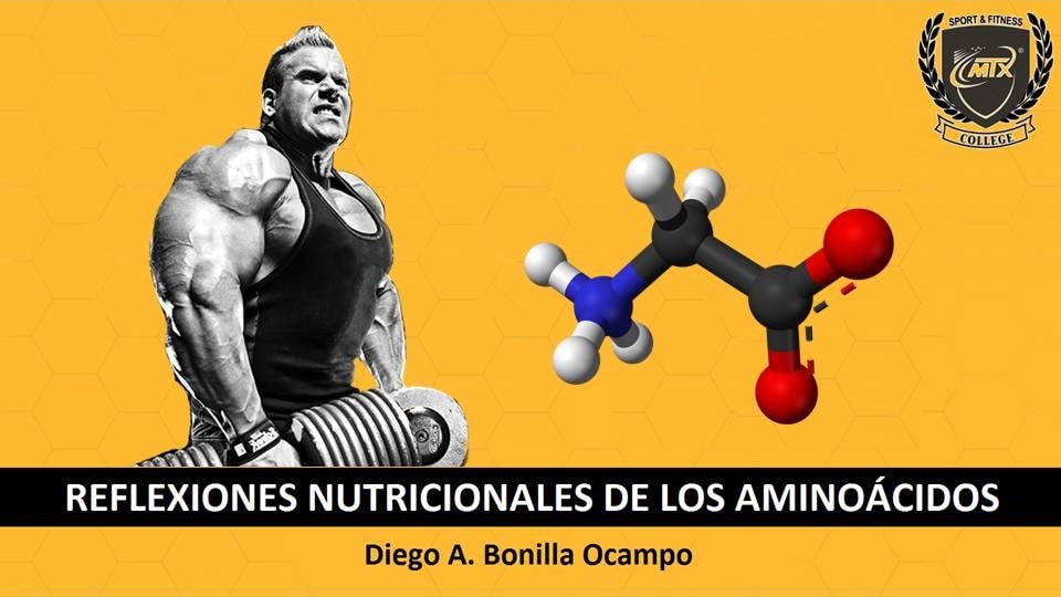 REFLEXIONES NUTRICIONALES DE LOS AMINOÁCIDOS