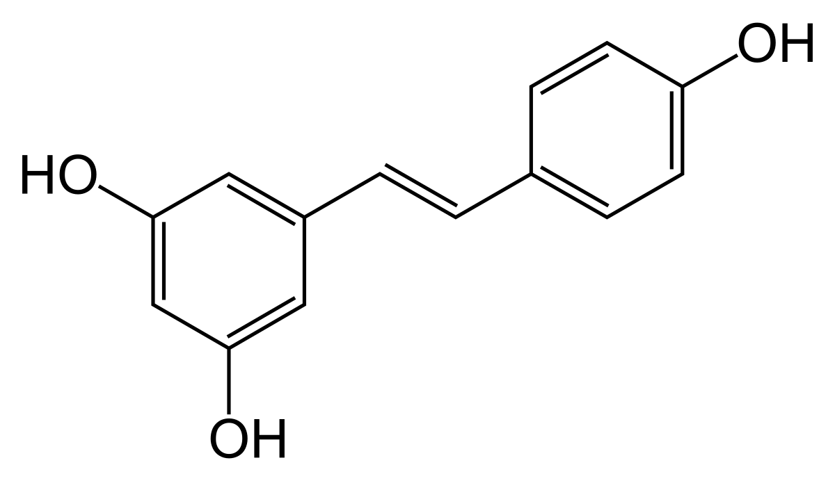 ​Resveratrol, metformina y síntesis proteica muscular