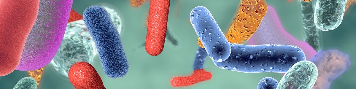 Microbiota y Patología Gastrointestinal. Abordaje desde la Nutrición
